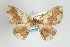 ( - ID 1165)  @11 [ ] Copyright (2010) Unspecified Institut fuer Spezielle Zoologie und Evolutionsbiologie, Friedrich-Schiller Universitat Jena