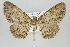  ( - ID 15851)  @14 [ ] Copyright (2010) Unspecified Institut fuer Spezielle Zoologie und Evolutionsbiologie, Friedrich-Schiller Universitat Jena
