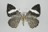  ( - ID 15855)  @14 [ ] Copyright (2010) Unspecified Institut fuer Spezielle Zoologie und Evolutionsbiologie, Friedrich-Schiller Universitat Jena