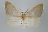  ( - ID 15886)  @14 [ ] Copyright (2010) Unspecified Institut fuer Spezielle Zoologie und Evolutionsbiologie, Friedrich-Schiller Universitat Jena