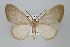  ( - ID 15906)  @14 [ ] Copyright (2010) Unspecified Institut fuer Spezielle Zoologie und Evolutionsbiologie, Friedrich-Schiller Universitat Jena