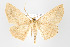  ( - ID 15912)  @14 [ ] Copyright (2010) Unspecified Institut fuer Spezielle Zoologie und Evolutionsbiologie, Friedrich-Schiller Universitat Jena