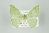  ( - ID 15962)  @13 [ ] Copyright (2010) Unspecified Institut fuer Spezielle Zoologie und Evolutionsbiologie, Friedrich-Schiller Universitat Jena