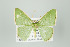  ( - ID 15975)  @13 [ ] Copyright (2010) Unspecified Institut fuer Spezielle Zoologie und Evolutionsbiologie, Friedrich-Schiller Universitat Jena