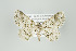  ( - ID 15985)  @14 [ ] Copyright (2010) Unspecified Institut fuer Spezielle Zoologie und Evolutionsbiologie, Friedrich-Schiller Universitat Jena