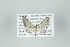  ( - ID 15992)  @14 [ ] Copyright (2010) Unspecified Institut fuer Spezielle Zoologie und Evolutionsbiologie, Friedrich-Schiller Universitat Jena