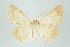  ( - ID 15998)  @14 [ ] Copyright (2010) Unspecified Institut fuer Spezielle Zoologie und Evolutionsbiologie, Friedrich-Schiller Universitat Jena