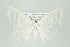  ( - ID 16015)  @14 [ ] Copyright (2010) Unspecified Institut fuer Spezielle Zoologie und Evolutionsbiologie, Friedrich-Schiller Universitat Jena