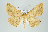  ( - ID 16023)  @13 [ ] Copyright (2010) Unspecified Institut fuer Spezielle Zoologie und Evolutionsbiologie, Friedrich-Schiller Universitat Jena