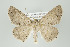  ( - ID 16025)  @13 [ ] Copyright (2010) Unspecified Institut fuer Spezielle Zoologie und Evolutionsbiologie, Friedrich-Schiller Universitat Jena