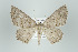  ( - ID 16055)  @13 [ ] Copyright (2010) Unspecified Institut fuer Spezielle Zoologie und Evolutionsbiologie, Friedrich-Schiller Universitat Jena