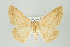  ( - ID 16059)  @14 [ ] Copyright (2010) Unspecified Institut fuer Spezielle Zoologie und Evolutionsbiologie, Friedrich-Schiller Universitat Jena