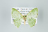  ( - ID 16068)  @14 [ ] Copyright (2010) Unspecified Institut fuer Spezielle Zoologie und Evolutionsbiologie, Friedrich-Schiller Universitat Jena