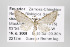  ( - ID 16346)  @13 [ ] Copyright (2010) Gunnar Brehm Institut fuer Spezielle Zoologie und Evolutionsbiologie, Friedrich-Schiller Universitat Jena