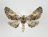  ( - ID 17807)  @14 [ ] Copyright (2010) Unspecified Institut fuer Spezielle Zoologie und Evolutionsbiologie, Friedrich-Schiller Universitat Jena