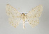  ( - ID 17808)  @12 [ ] Copyright (2010) Unspecified Institut fuer Spezielle Zoologie und Evolutionsbiologie, Friedrich-Schiller Universitat Jena