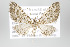  ( - ID 17924)  @15 [ ] Copyright (2010) Unspecified Institut fuer Spezielle Zoologie und Evolutionsbiologie, Friedrich-Schiller Universitat Jena