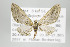  ( - ID 17926)  @14 [ ] Copyright (2010) Unspecified Institut fuer Spezielle Zoologie und Evolutionsbiologie, Friedrich-Schiller Universitat Jena