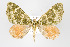  ( - ID 17998)  @14 [ ] Copyright (2010) Unspecified Institut fuer Spezielle Zoologie und Evolutionsbiologie, Friedrich-Schiller Universitat Jena