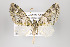  ( - ID 16391)  @13 [ ] Copyright (2010) Gunnar Brehm Institut fuer Spezielle Zoologie und Evolutionsbiologie, Friedrich-Schiller Universitat Jena