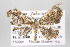  ( - ID 16462)  @13 [ ] Copyright (2010) Gunnar Brehm Institut fuer Spezielle Zoologie und Evolutionsbiologie, Friedrich-Schiller Universitat Jena