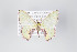  ( - ID 22180)  @13 [ ] Copyright (2011) Gunnar Brehm Institut fuer Spezielle Zoologie und Evolutionsbiologie, Friedrich-Schiller Universitat Jena