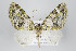  (Rhopalodes ligereza - ID 22336)  @14 [ ] Copyright (2011) Gunnar Brehm Institut fuer Spezielle Zoologie und Evolutionsbiologie, Friedrich-Schiller Universitat Jena