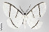  ( - ID 22341)  @14 [ ] Copyright (2011) Gunnar Brehm Institut fuer Spezielle Zoologie und Evolutionsbiologie, Friedrich-Schiller Universitat Jena