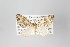  ( - ID 10493)  @13 [ ] Copyright (2011) Gunnar Brehm Institut fuer Spezielle Zoologie und Evolutionsbiologie, Friedrich-Schiller Universitat Jena