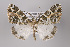  ( - ID 15354)  @14 [ ] Copyright (2011) Gunnar Brehm Institut fuer Spezielle Zoologie und Evolutionsbiologie, Friedrich-Schiller Universitat Jena