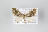  ( - ID 18236)  @13 [ ] Copyright (2011) Gunnar Brehm Institut fuer Spezielle Zoologie und Evolutionsbiologie, Friedrich-Schiller Universitat Jena