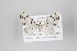  ( - ID 22791)  @12 [ ] Copyright (2011) Gunnar Brehm Institut fuer Spezielle Zoologie und Evolutionsbiologie, Friedrich-Schiller Universitat Jena