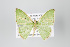  ( - ID 15529)  @14 [ ] Copyright (2011) Gunnar Brehm Institut fuer Spezielle Zoologie und Evolutionsbiologie, Friedrich-Schiller Universitat Jena