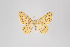  ( - ID 18568)  @14 [ ] Copyright (2011) Gunnar Brehm Institut fuer Spezielle Zoologie und Evolutionsbiologie, Friedrich-Schiller Universitat Jena