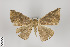  ( - ID 9731)  @13 [ ] Copyright (2013) Gunnar Brehm Institut fuer Spezielle Zoologie und Evolutionsbiologie, Friedrich-Schiller Universität Jena