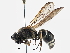  ( - BIOUG07752-H07)  @14 [ ] CreativeCommons - Attribution (2014) CBG Photography Group Centre for Biodiversity Genomics