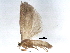  ( - BIOUG08157-C10)  @12 [ ] CreativeCommons - Attribution (2014) CBG Photography Group Centre for Biodiversity Genomics