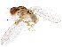  ( - BIOUG10018-B07)  @11 [ ] CreativeCommons - Attribution (2014) CBG Photography Group Centre for Biodiversity Genomics