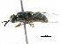  ( - BIOUG10189-A09)  @14 [ ] CreativeCommons - Attribution (2015) CBG Photography Group Centre for Biodiversity Genomics