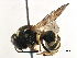  ( - BIOUG10190-D09)  @13 [ ] CreativeCommons - Attribution (2016) CBG Photography Group Centre for Biodiversity Genomics