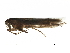  ( - BIOUG10543-B04)  @12 [ ] CreativeCommons - Attribution (2015) CBG Photography Group Centre for Biodiversity Genomics
