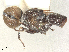  ( - BIOUG11441-B02)  @11 [ ] CreativeCommons - Attribution Share - Alike (2025) CBG Photography Group Centre for Biodiversity Genomics