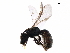  ( - BIOUG12178-C03)  @14 [ ] CreativeCommons - Attribution (2018) CBG Photography Group Centre for Biodiversity Genomics