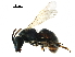  ( - BIOUG12178-E07)  @13 [ ] CreativeCommons - Attribution (2018) CBG Photography Group Centre for Biodiversity Genomics