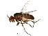  ( - BIOUG12179-H07)  @14 [ ] CreativeCommons - Attribution (2016) CBG Photography Group Centre for Biodiversity Genomics