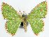  ( - 817419_NGS)  @11 [ ] CreativeCommons - Attribution (2015) Smithsonian Institution Smithsonian Institution