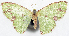 ( - 817441_NGS)  @11 [ ] CreativeCommons - Attribution (2015) Smithsonian Institution Smithsonian Institution