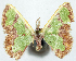  ( - 817442_NGS)  @11 [ ] CreativeCommons - Attribution (2015) Smithsonian Institution Smithsonian Institution