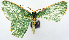  ( - 817596_NGS)  @11 [ ] CreativeCommons - Attribution (2015) Smithsonian Institution Smithsonian Institution