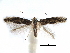  ( - CCDB-29066-A02_NGS)  @13 [ ] CreativeCommons - Attribution (2016) CBG Photography Group Centre for Biodiversity Genomics